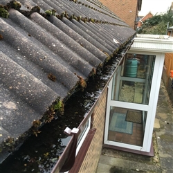 Gutter filled with leaves, moss and rainwater, Ipswich, Suffolk